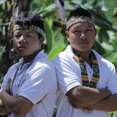 Linaje Originarios